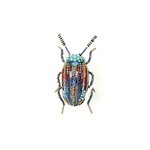 Trovelore Handmade Snowdon Beetle Brooch Pin