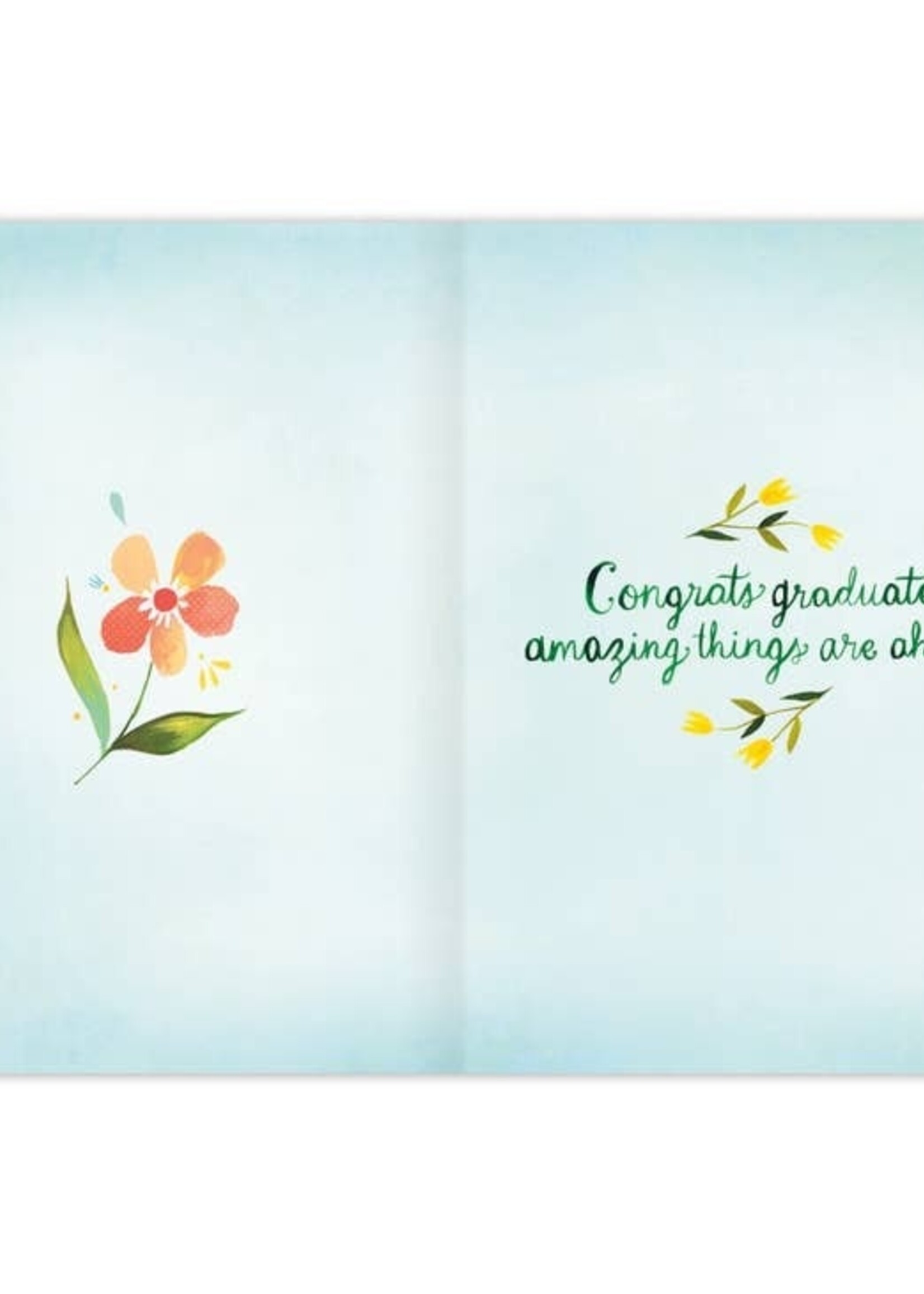 See Wonders Graduation card Katie Daisy