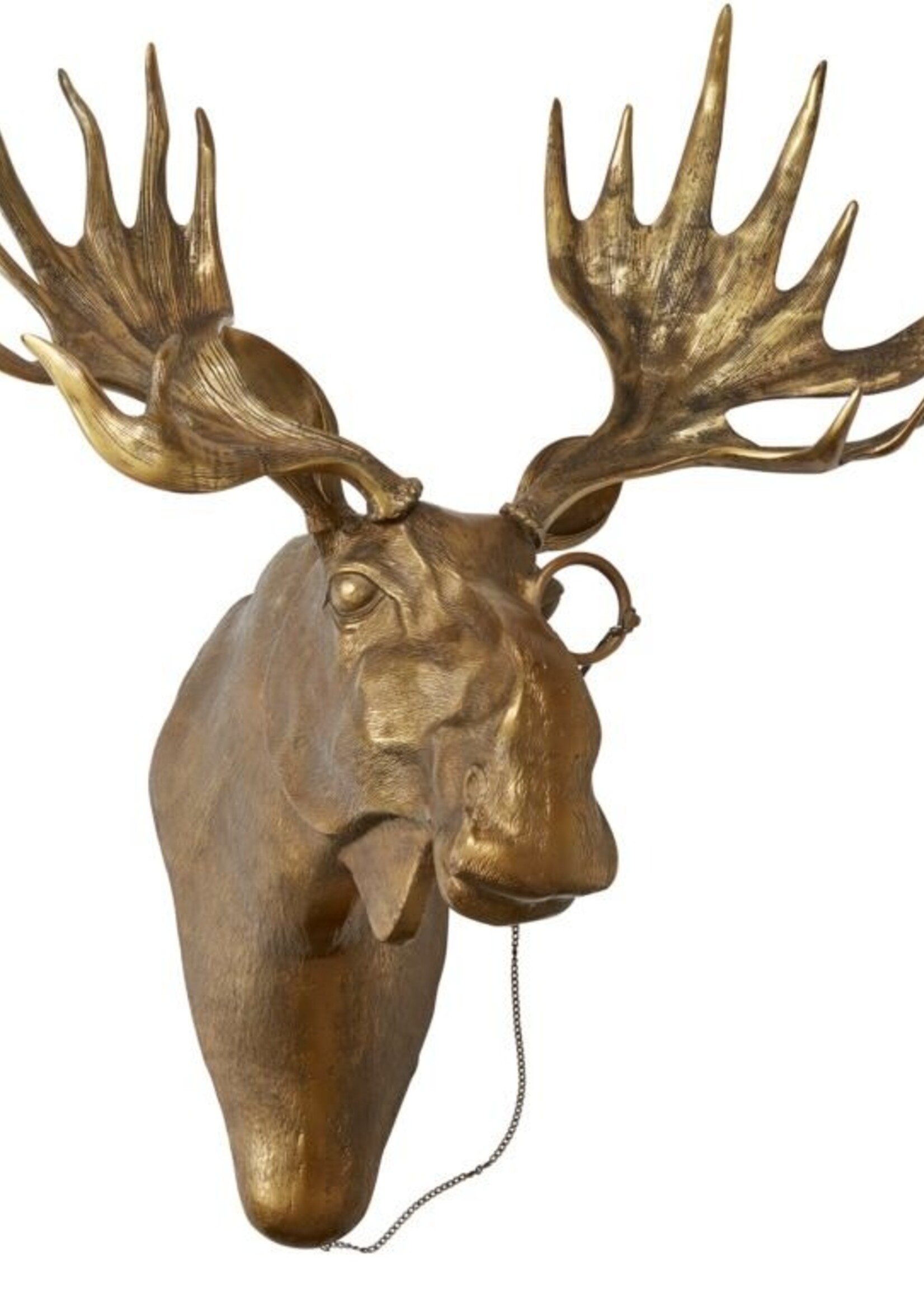 Eugene Moose Wall Mount