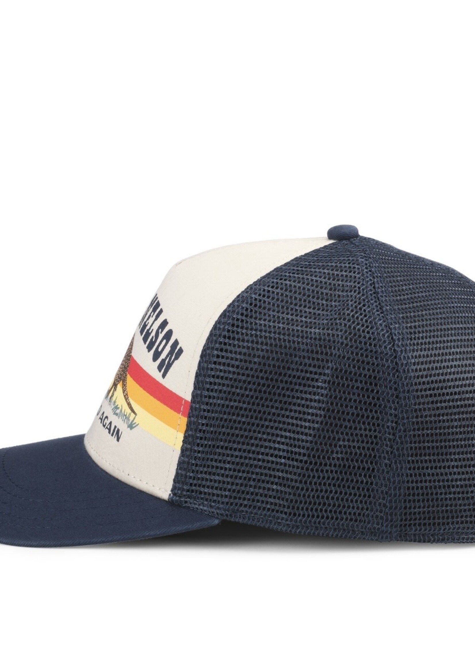 Willie Nelson Armadillo On The Road Again Trucker Hat