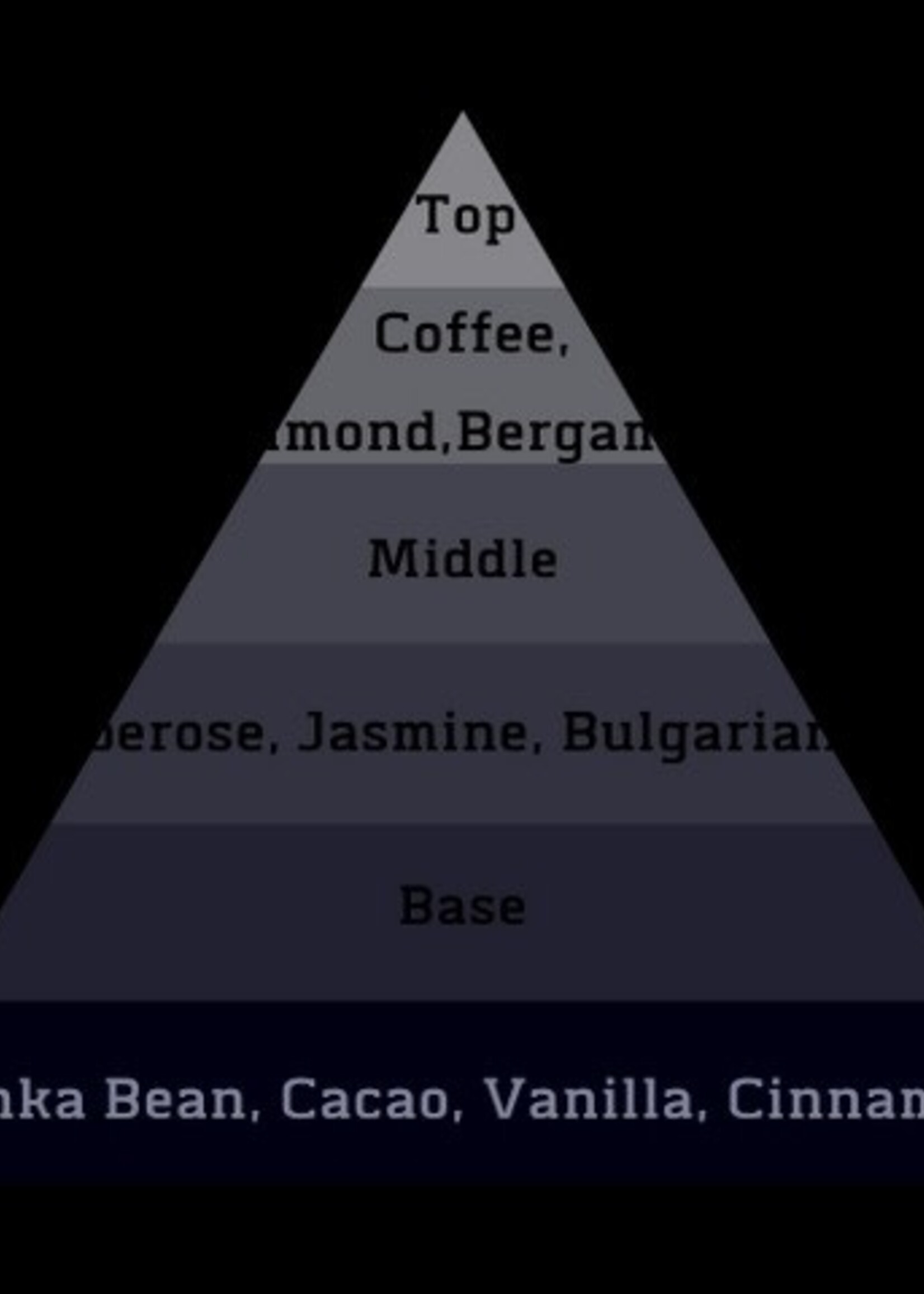 ALT. Fragrances Stiletto Perfume (Inspired by Good Girl)