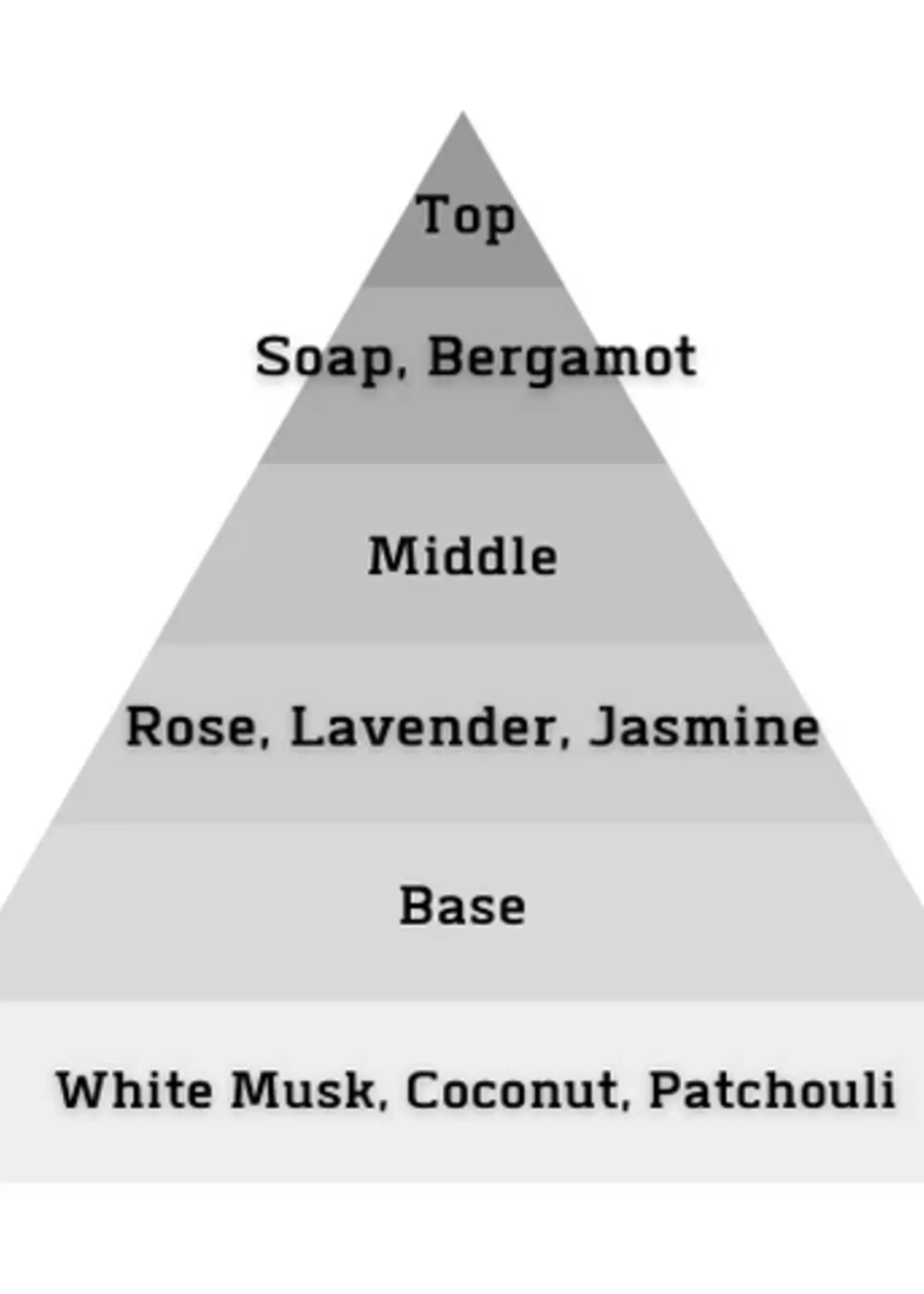 ALT. Fragrances Suds Perfume