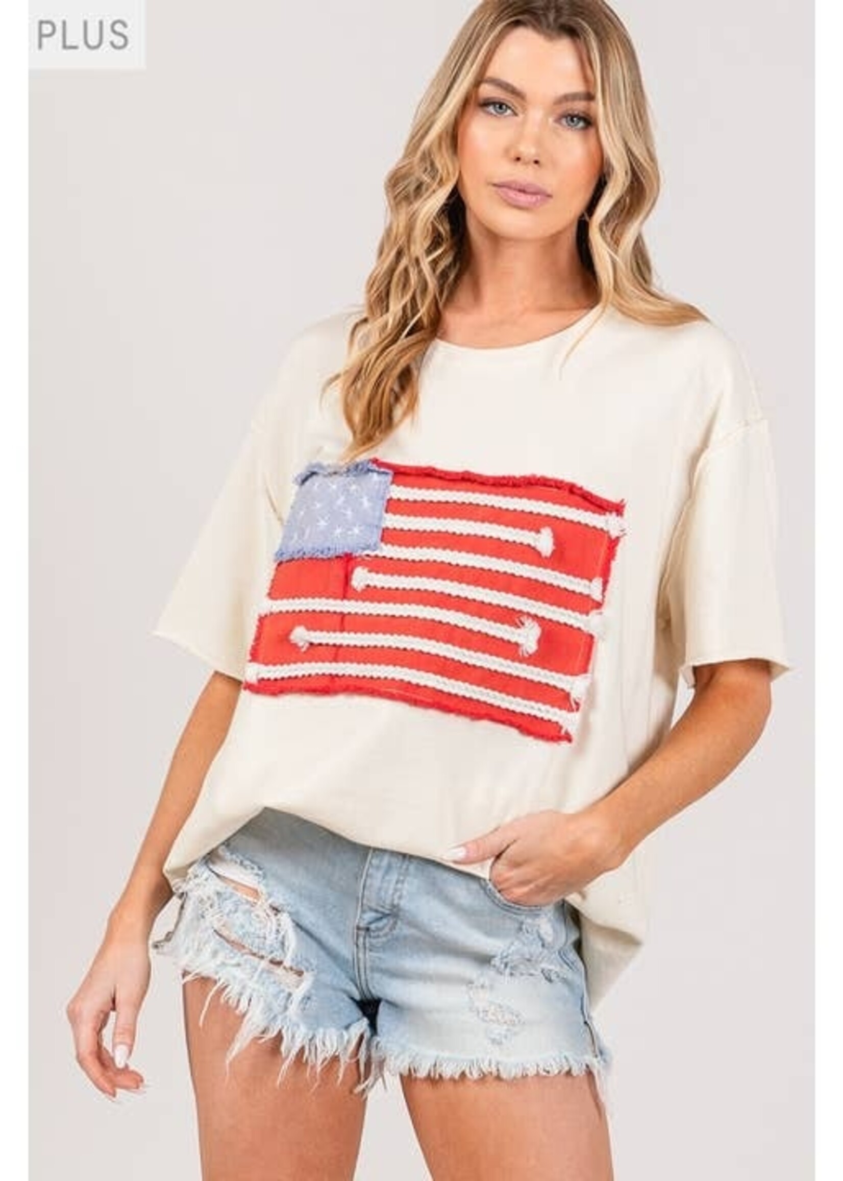 Sage & Fig Flag Patch T-Shirt Mineral Wash
