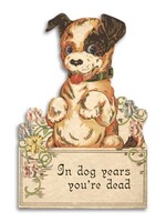 Bad Betty Greeting Co Dog Years Funny Birthday Card