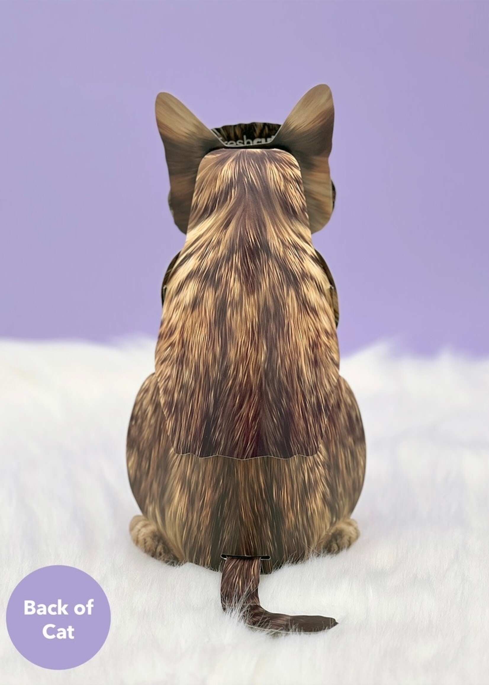 Fresh Cut Paper Pet Pop Up Greeting Card
