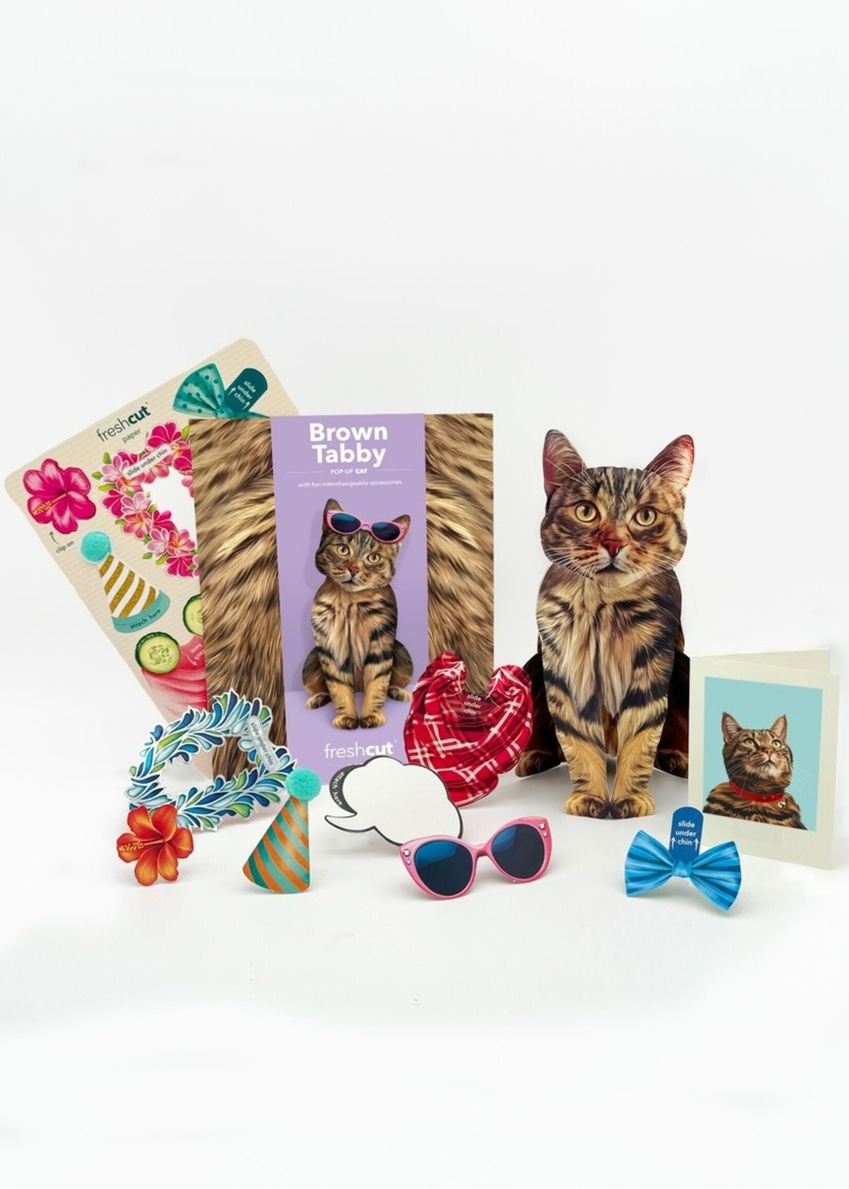 Fresh Cut Paper Pet Pop Up Greeting Card