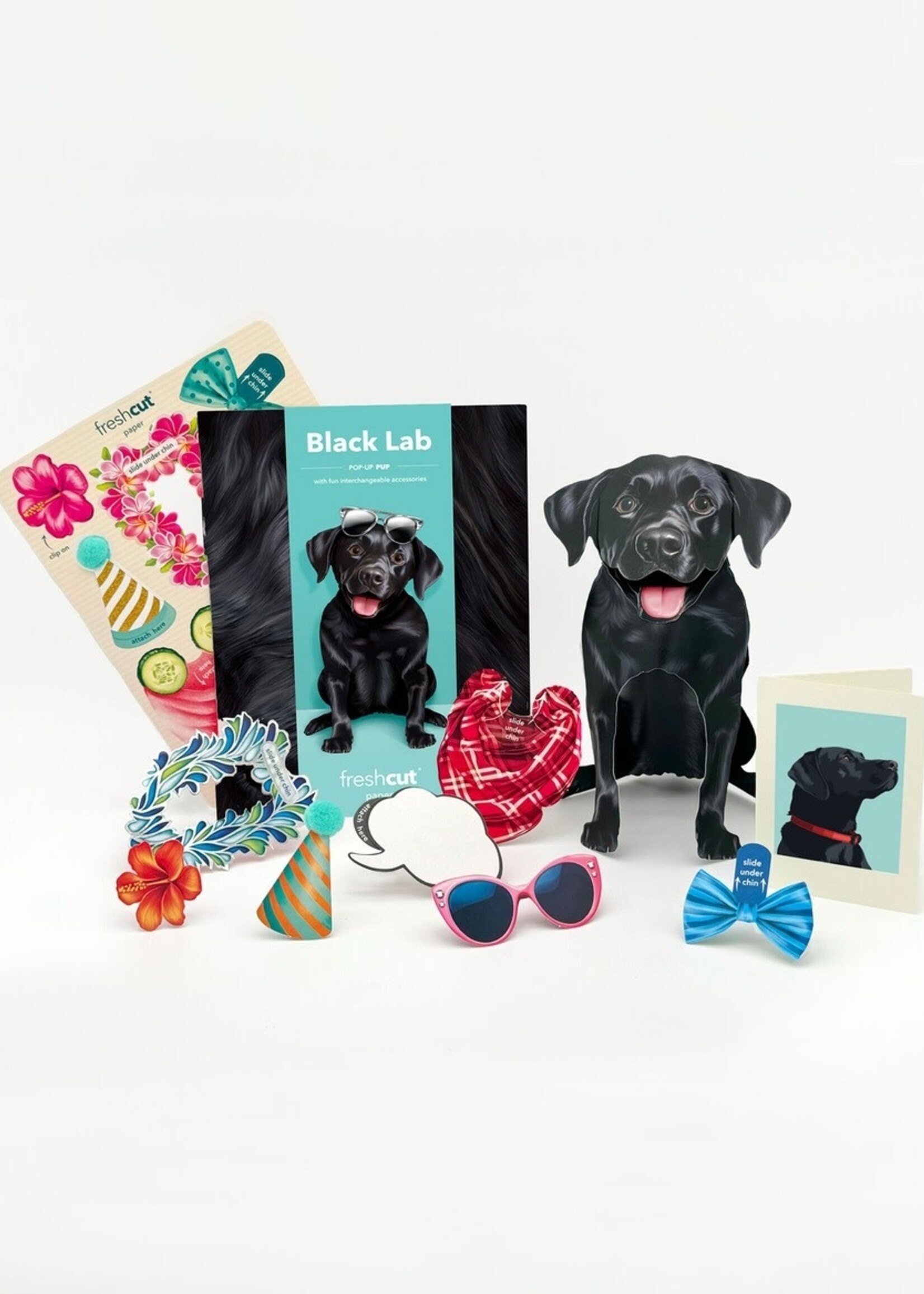 Fresh Cut Paper Pet Pop Up Greeting Card