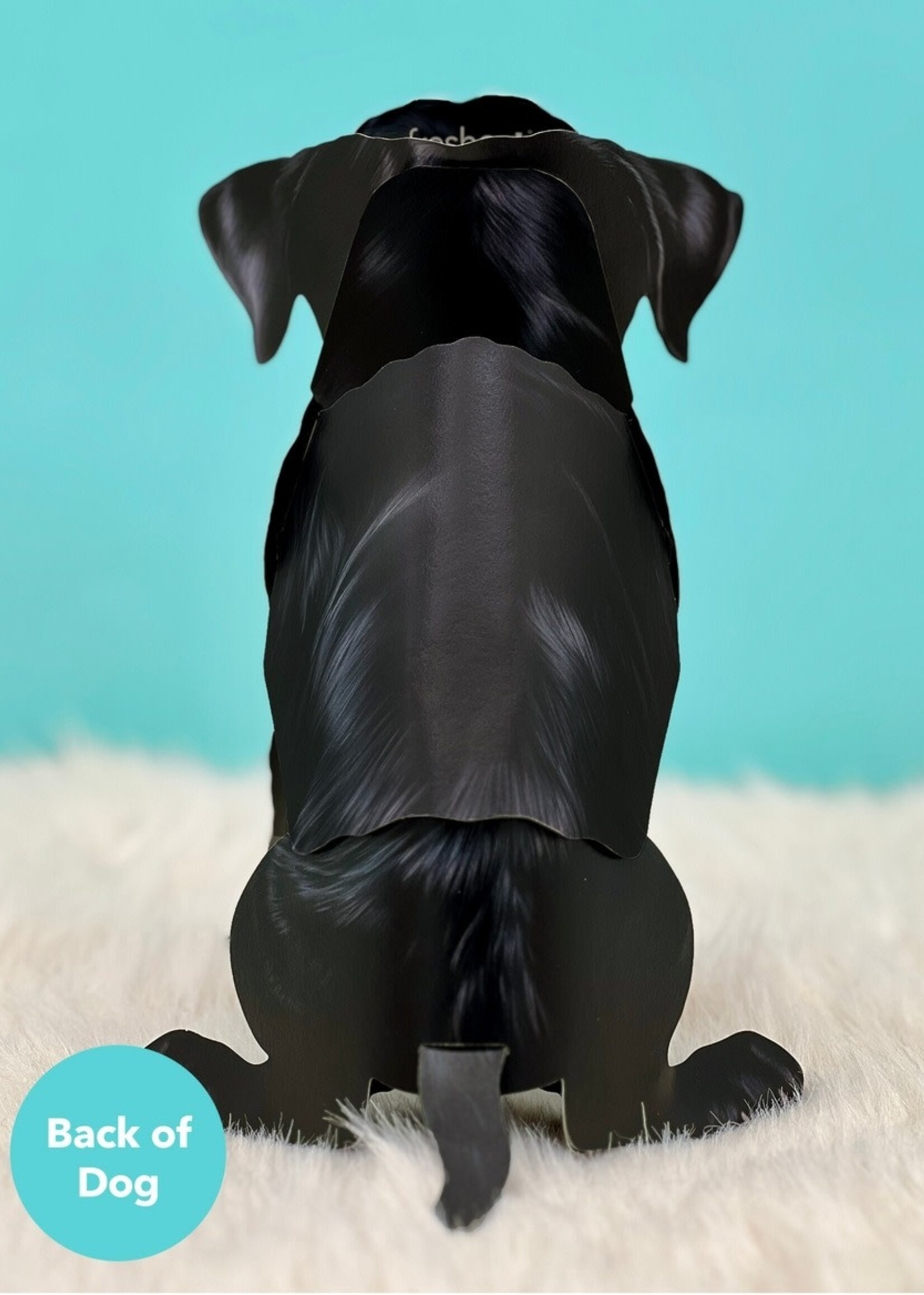 Fresh Cut Paper Pet Pop Up Greeting Card
