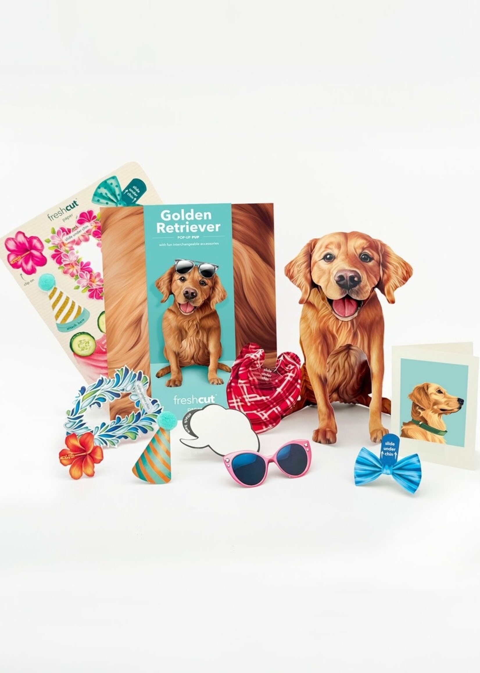 Fresh Cut Paper Pet Pop Up Greeting Card