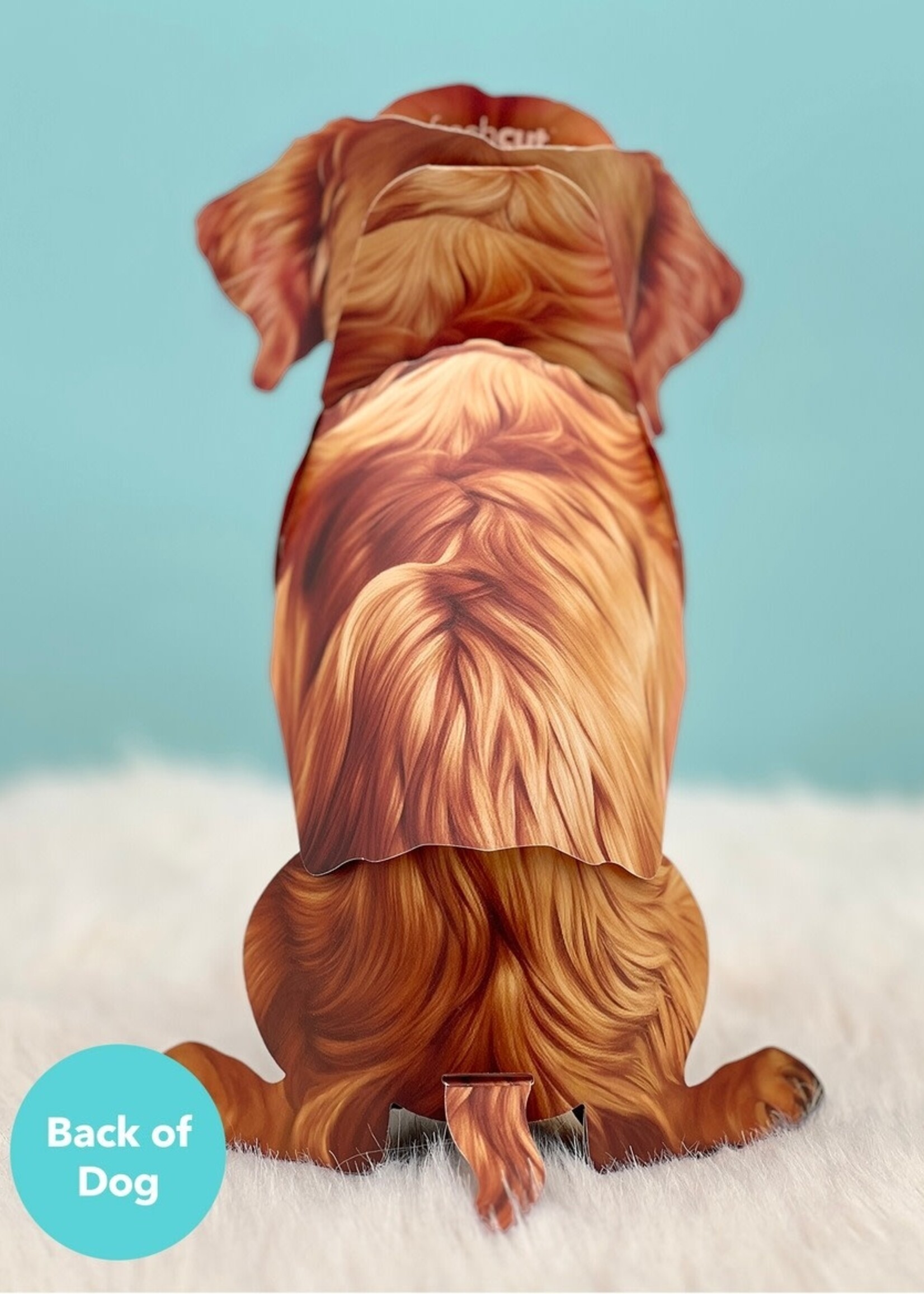 Fresh Cut Paper Pet Pop Up Greeting Card