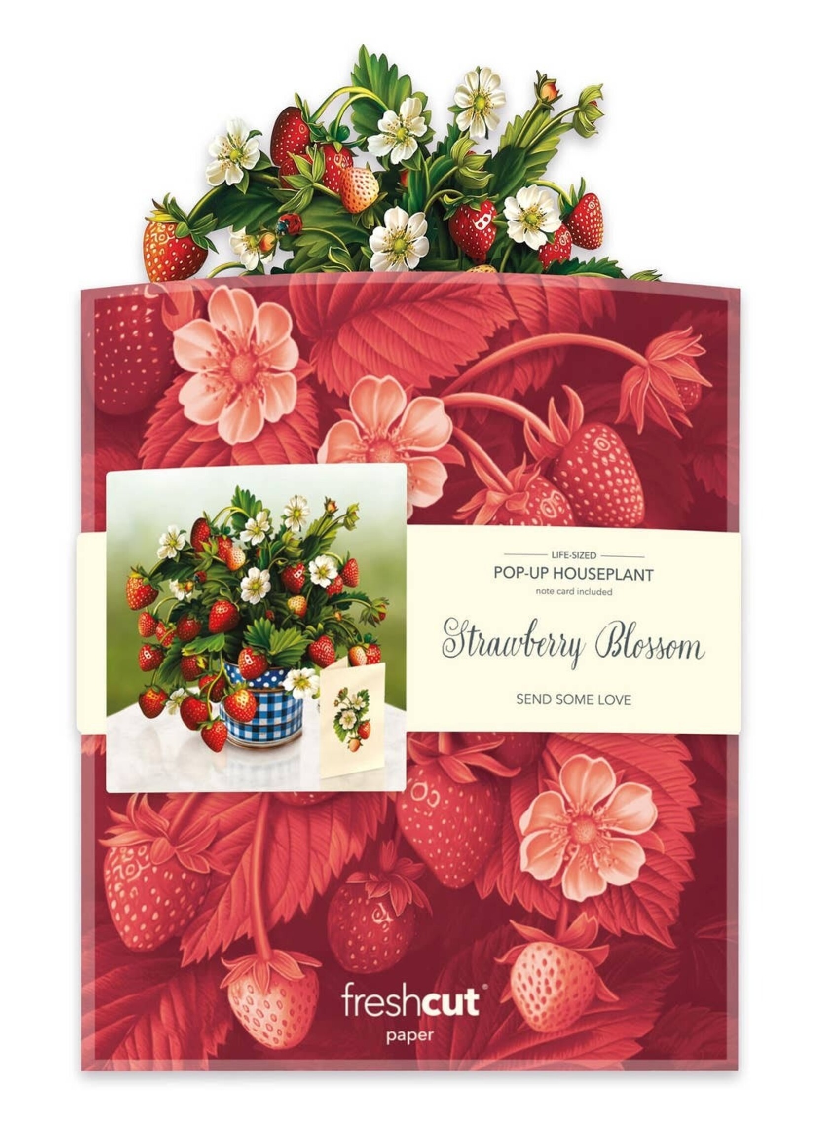 Fresh Cut Paper Pop Up Bouquet Card