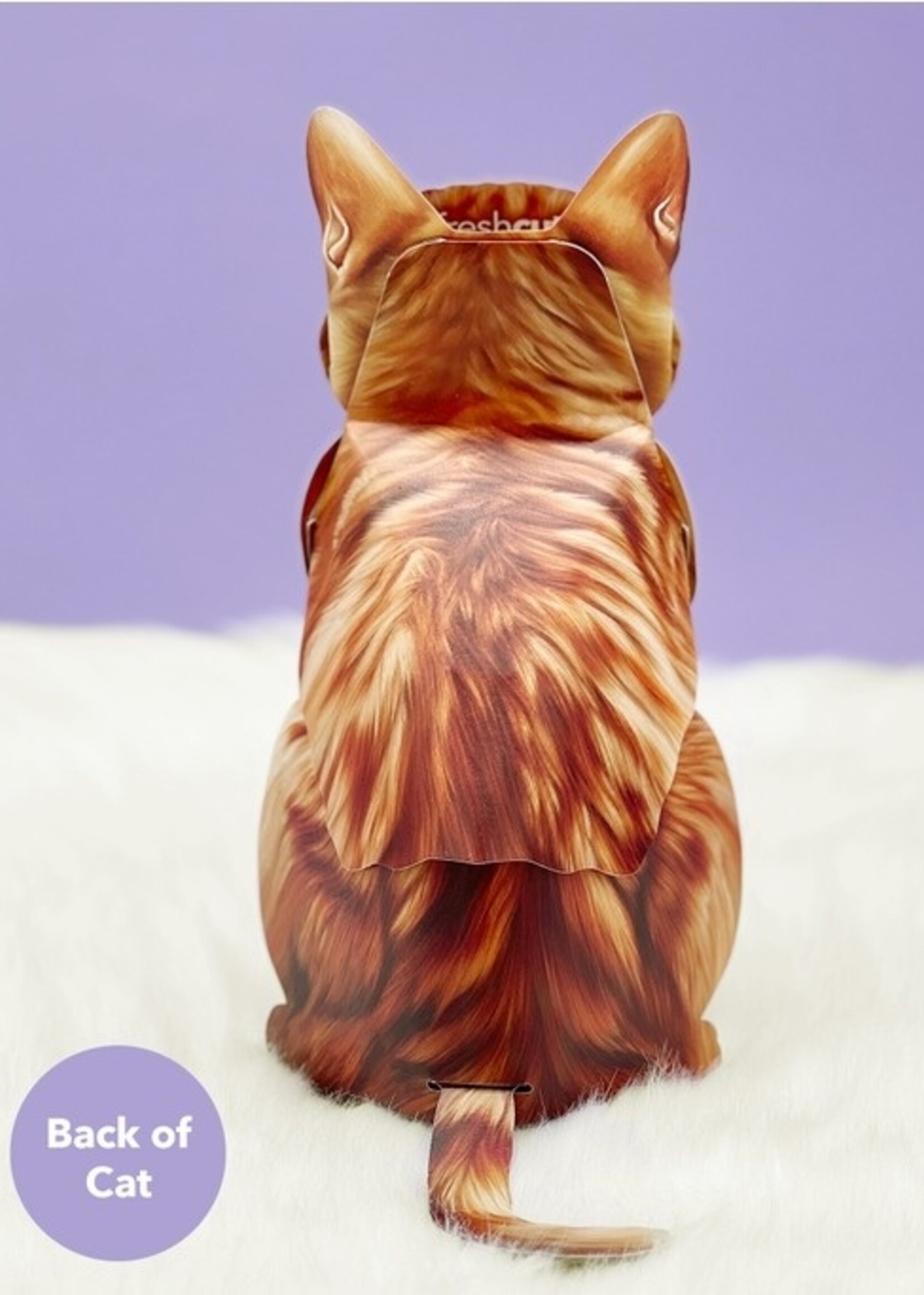 Fresh Cut Paper Pet Pop Up Greeting Card