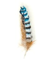 Trovelore Eurasian Jay Feather Brooch Pin