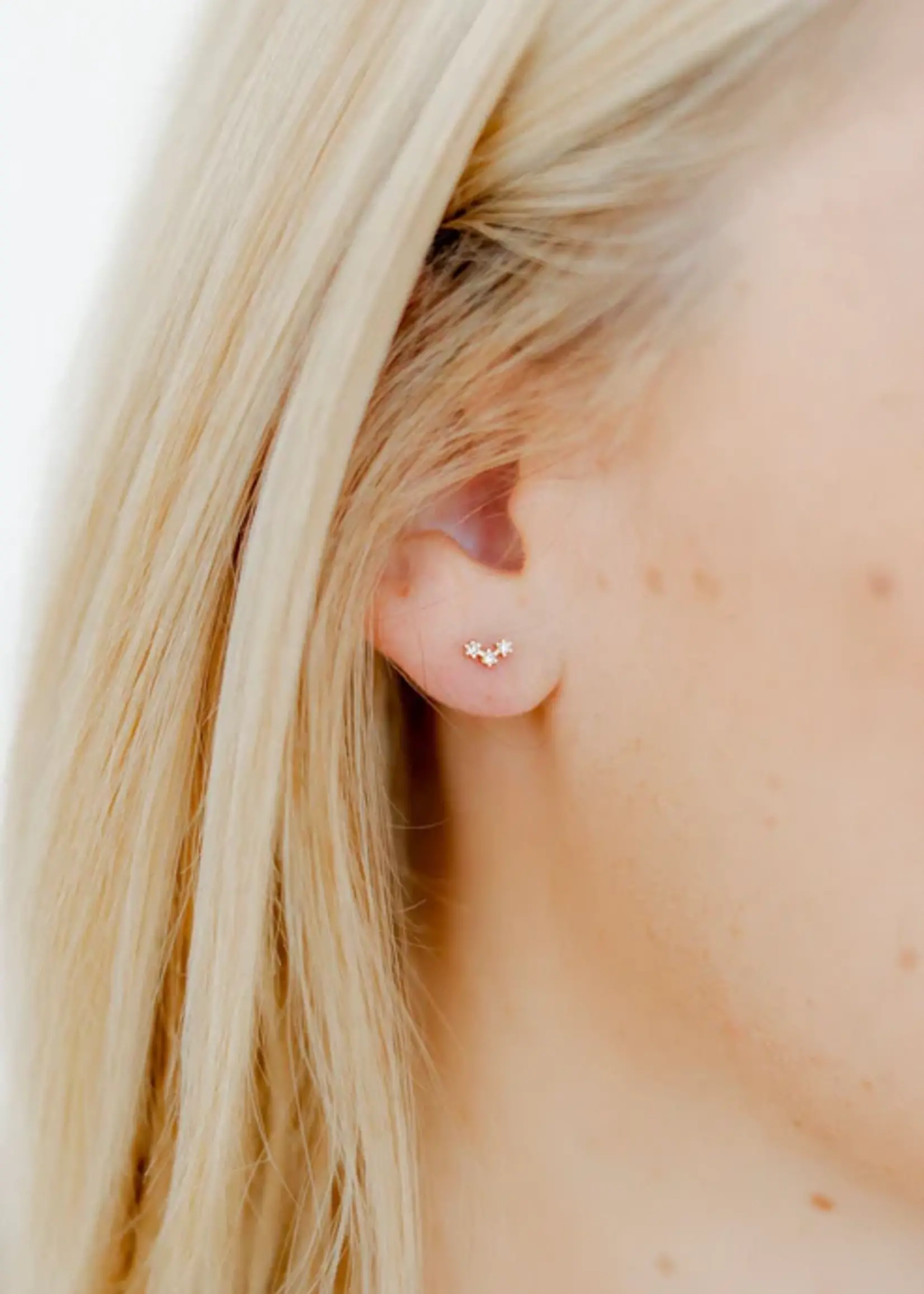 Linny Co Sienna Screwback Stud Earrings