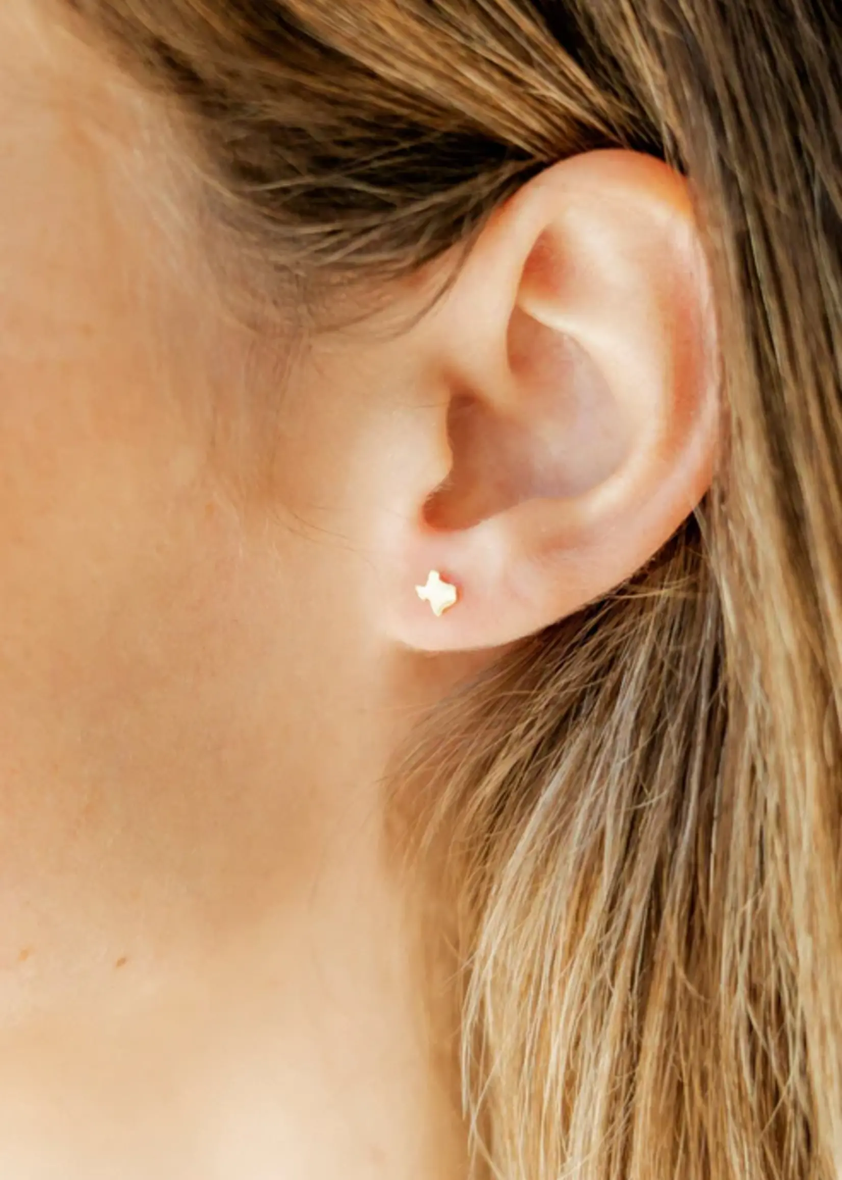 Linny Co Petite Texas Screwback Earrings