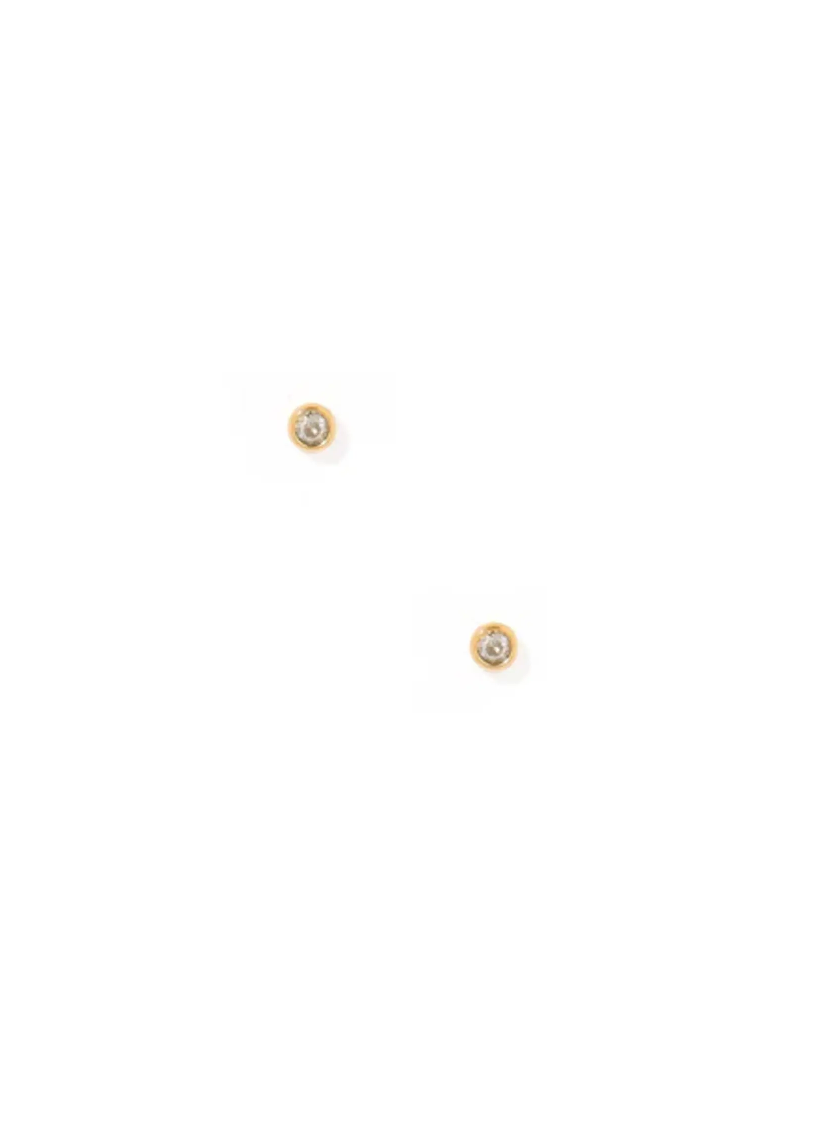 Linny Co Cooper Clear Gold Screwback Stud Earrings