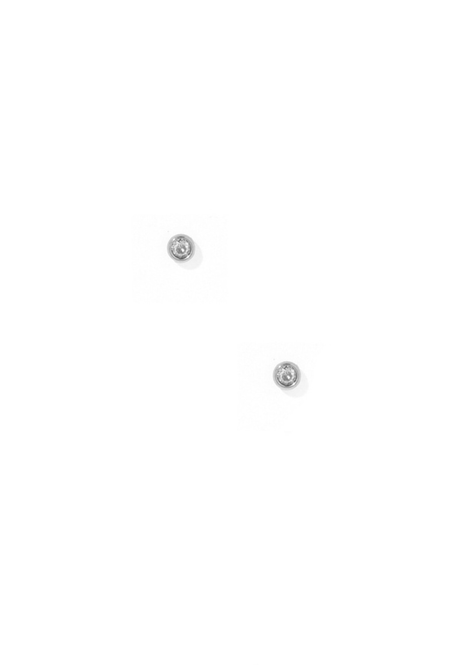 Linny Co Cooper Clear Sliver Screwback Stud Earrings