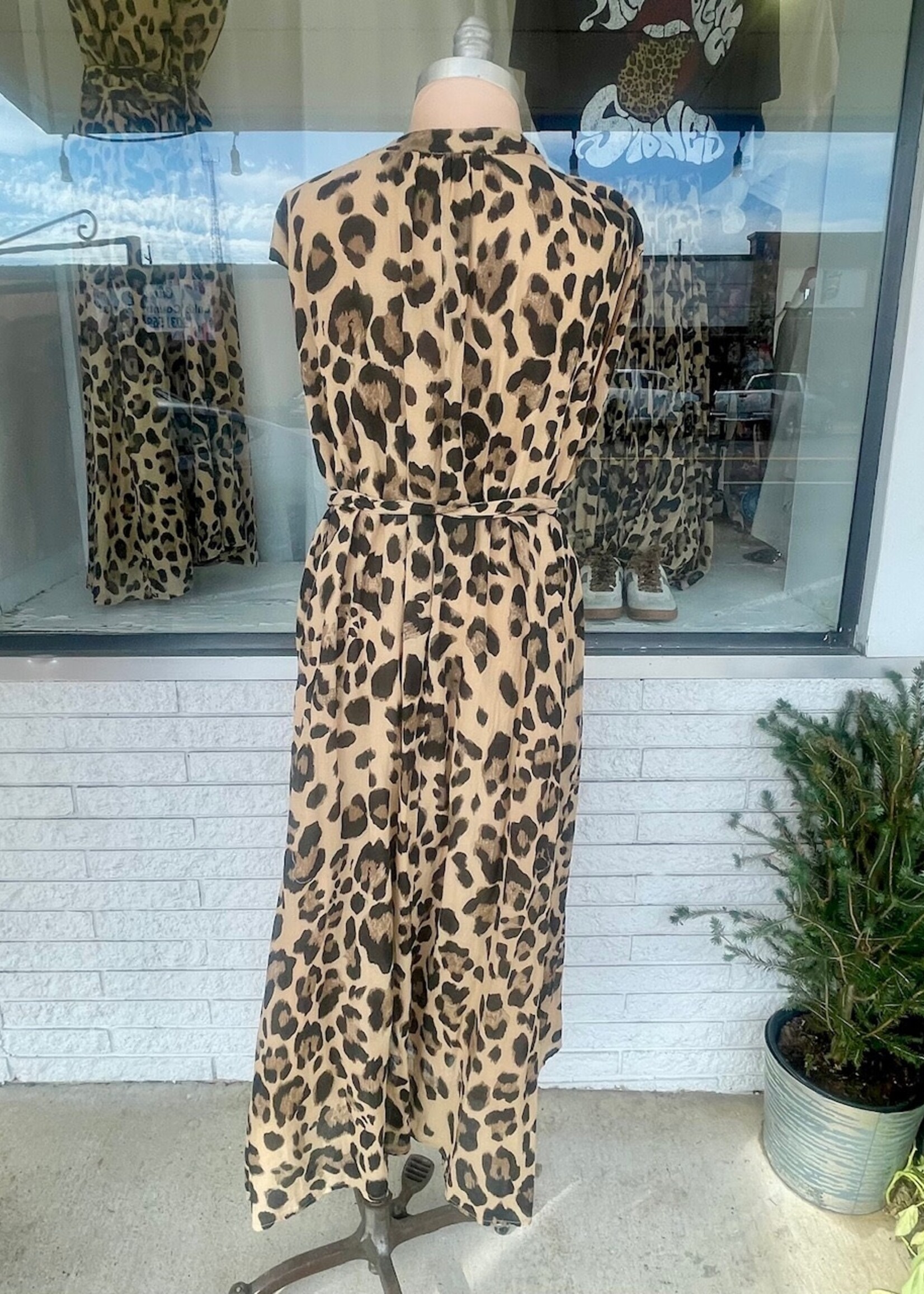 Amazonia Leopard Dress