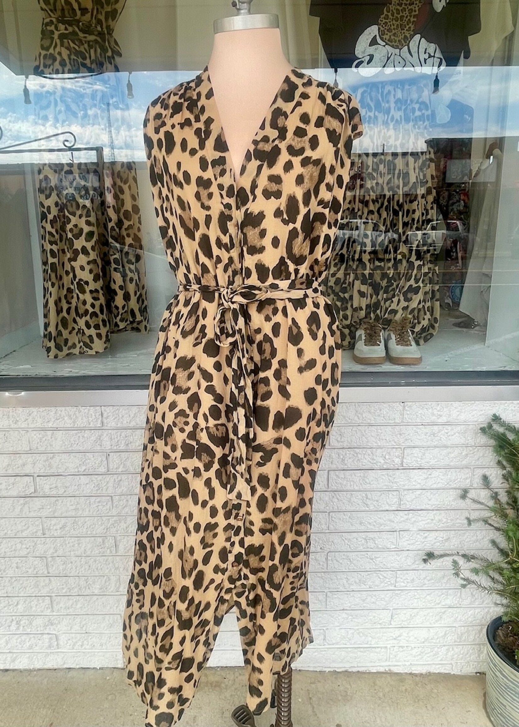 Amazonia Leopard Dress