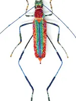 Trovelore Lameeri Bug Brooch Pin
