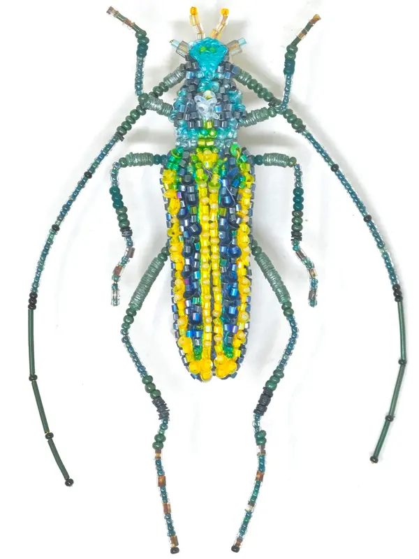 beetle Brooch Pin trovelore