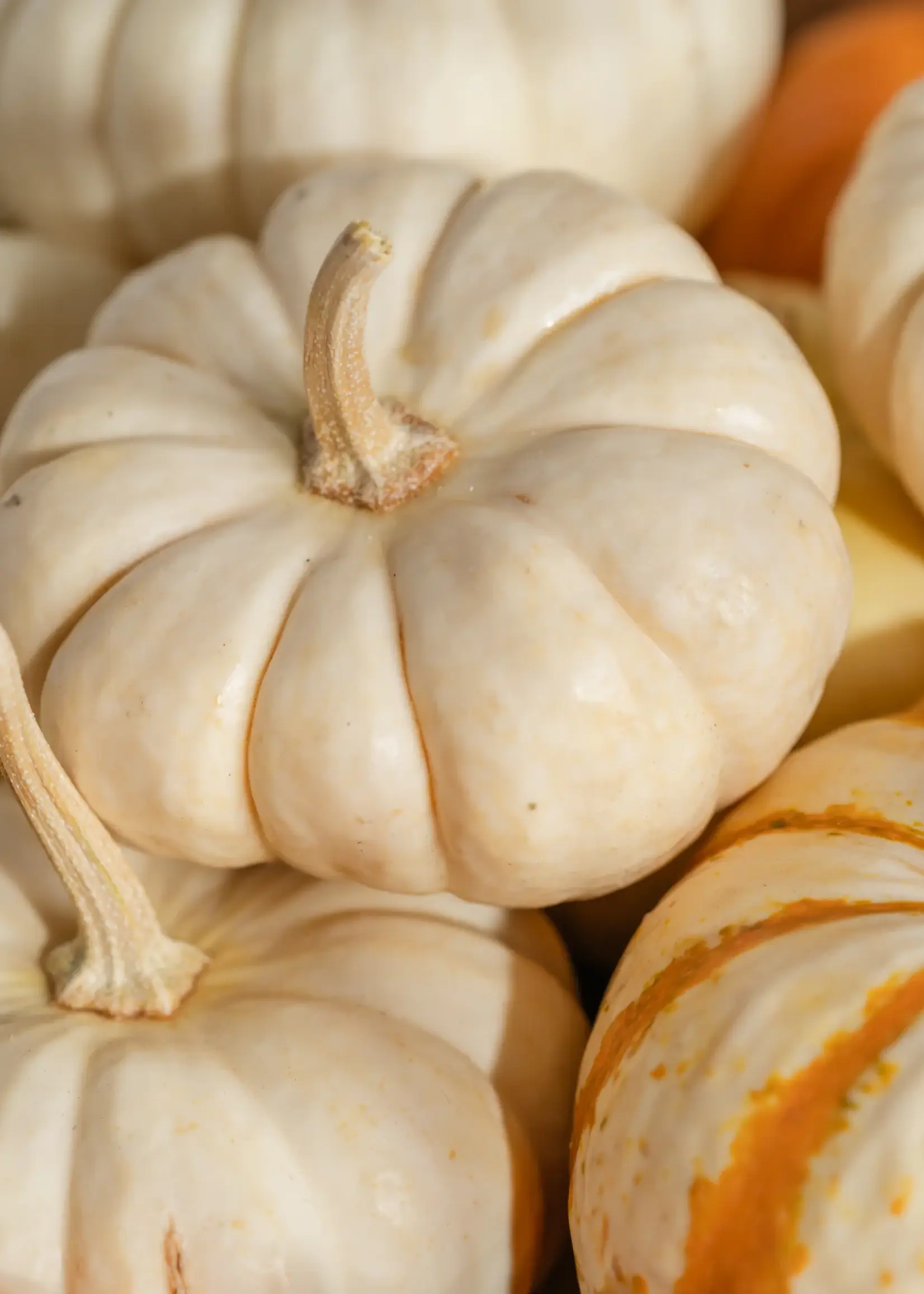 Pura Pura Pumpkin Macchiato Refill Archipelago Botanicals