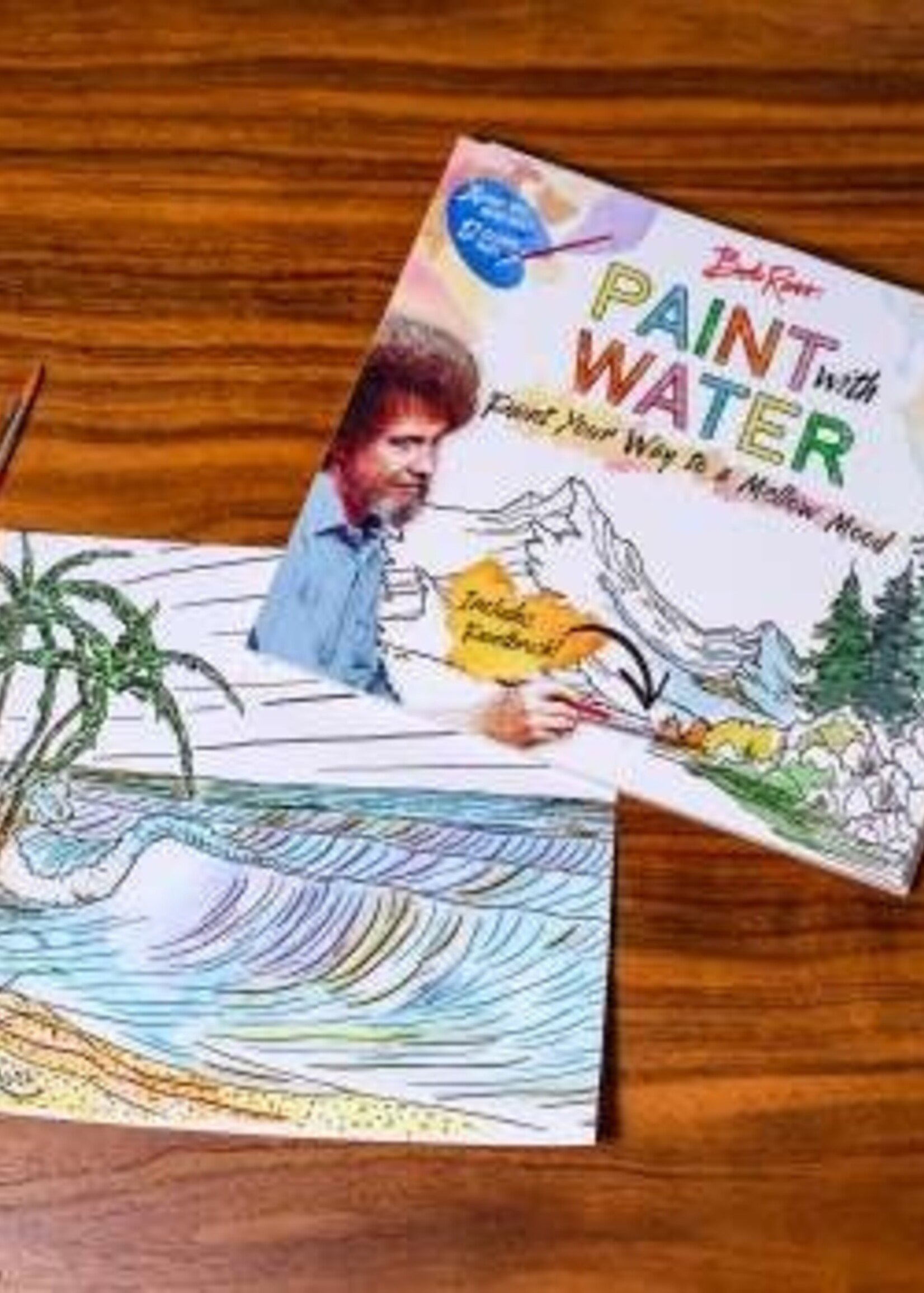 Bob Ross Paint w/ Water