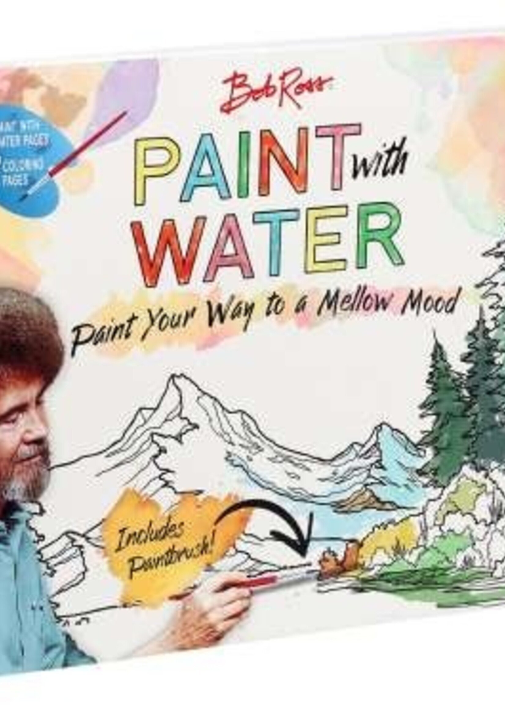 Bob Ross Paint w/ Water