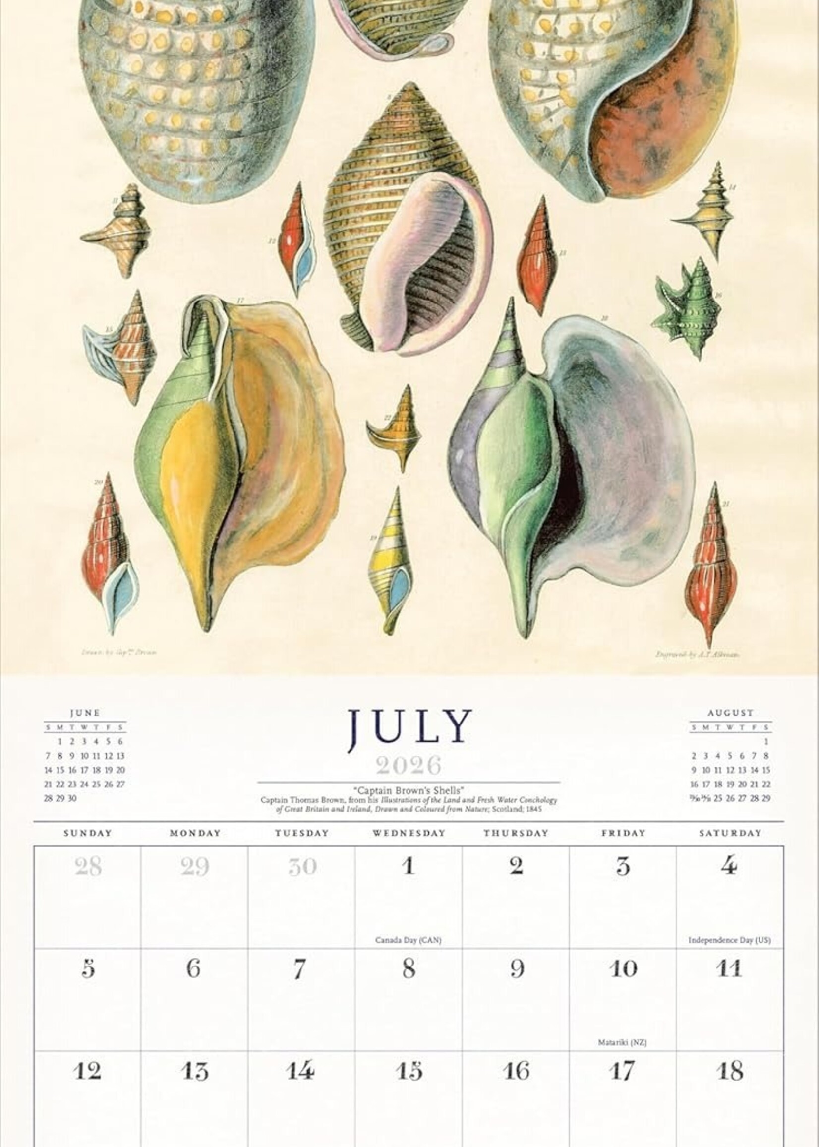 John Derian World of John Derian 2026 Calendar