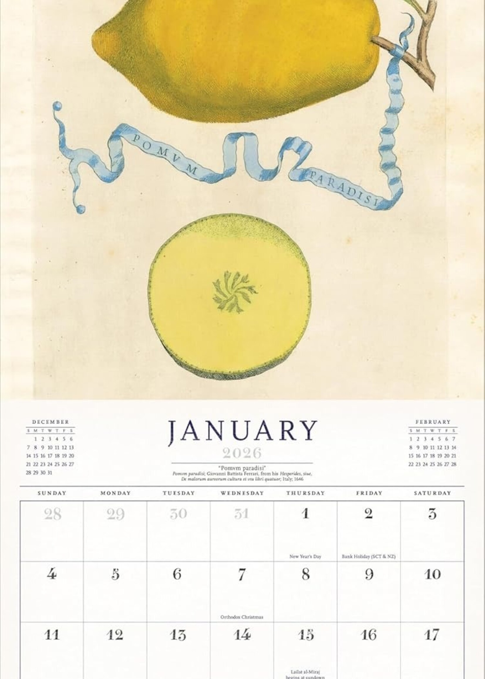 John Derian World of John Derian 2026 Calendar