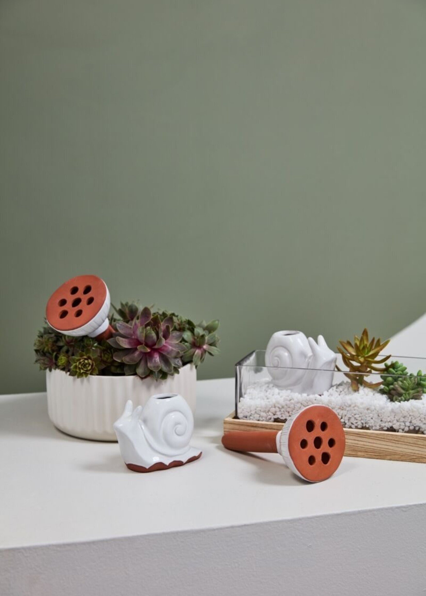 Watering Snail **I Water Plants!** Olla