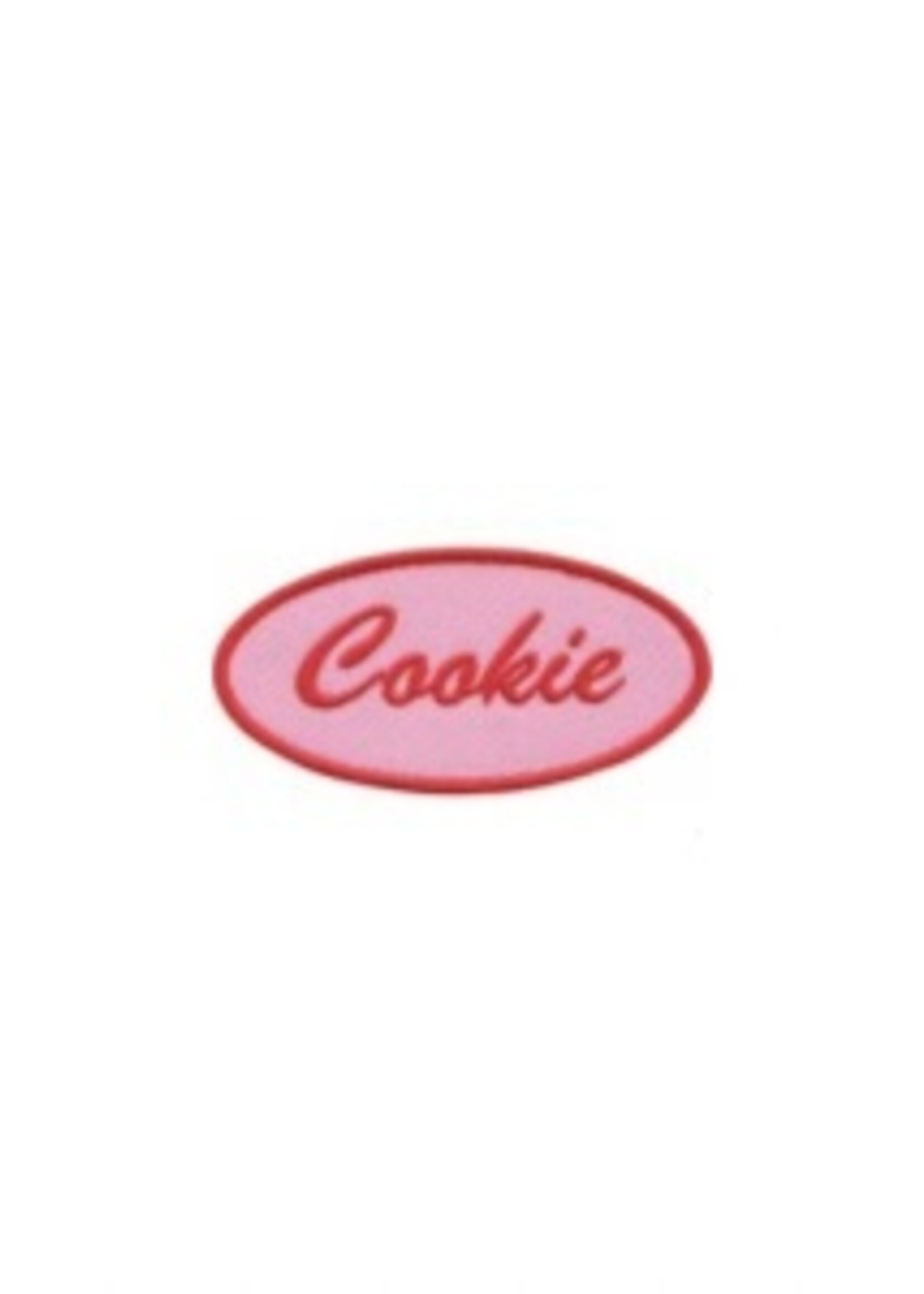Embroidered Pink Retro Name Tag Patch
