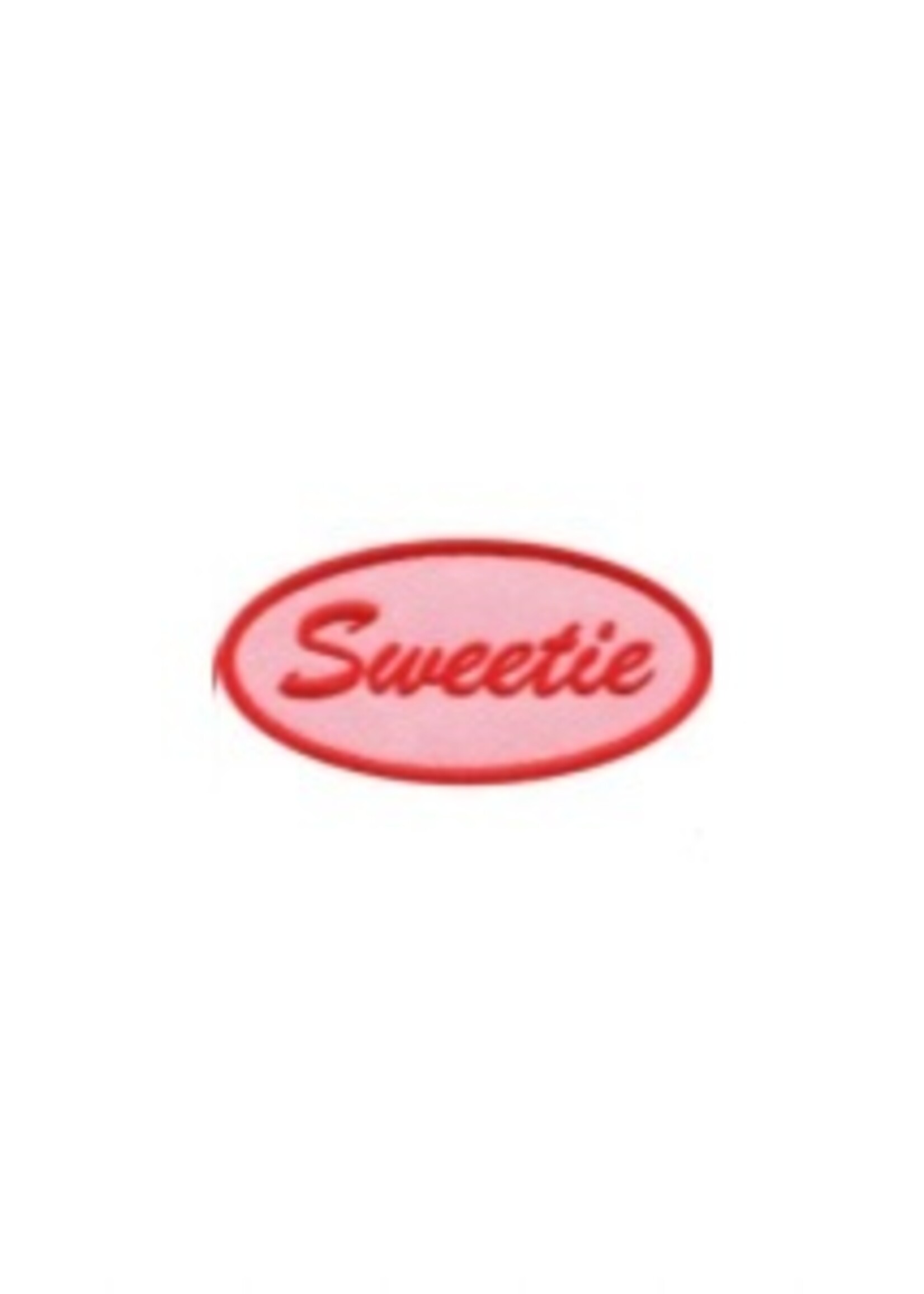 Embroidered Pink Retro Name Tag Patch