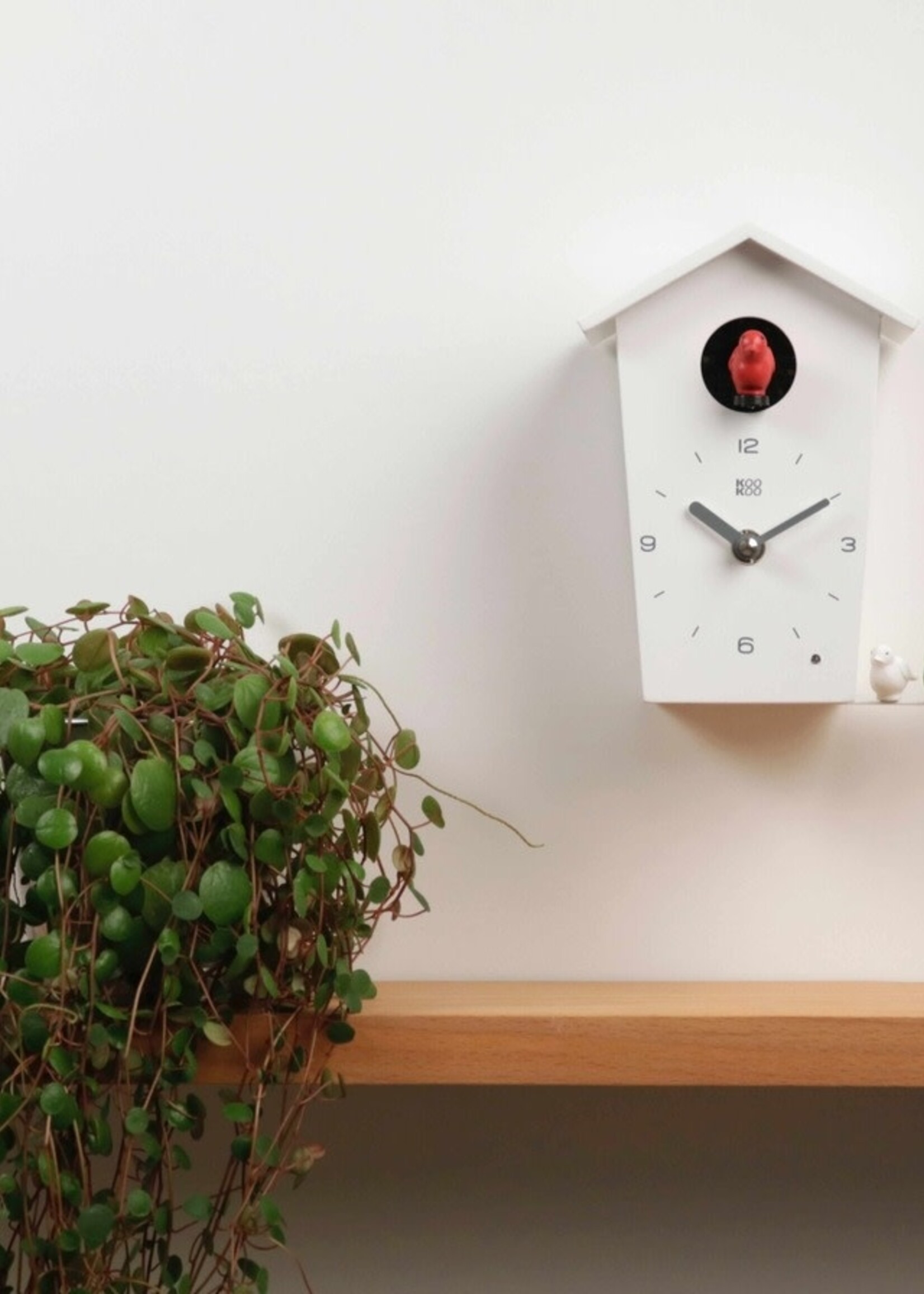 Cuckoo Clock Mini BirdHouse White