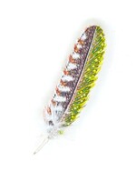 Trovelore Woodpecker Feather Brooch Pin Handmade