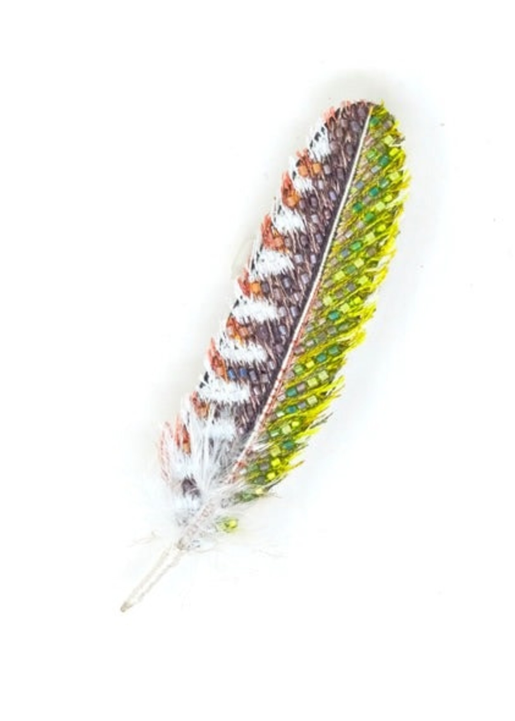 Trovelore Woodpecker Feather Brooch Pin Handmade