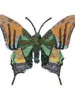 Trovelore Emperor of India Butterfly Brooch Pin Handmade