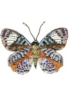 Trovelore Glorious Purplewing Butterfly Brooch Pin Handmade