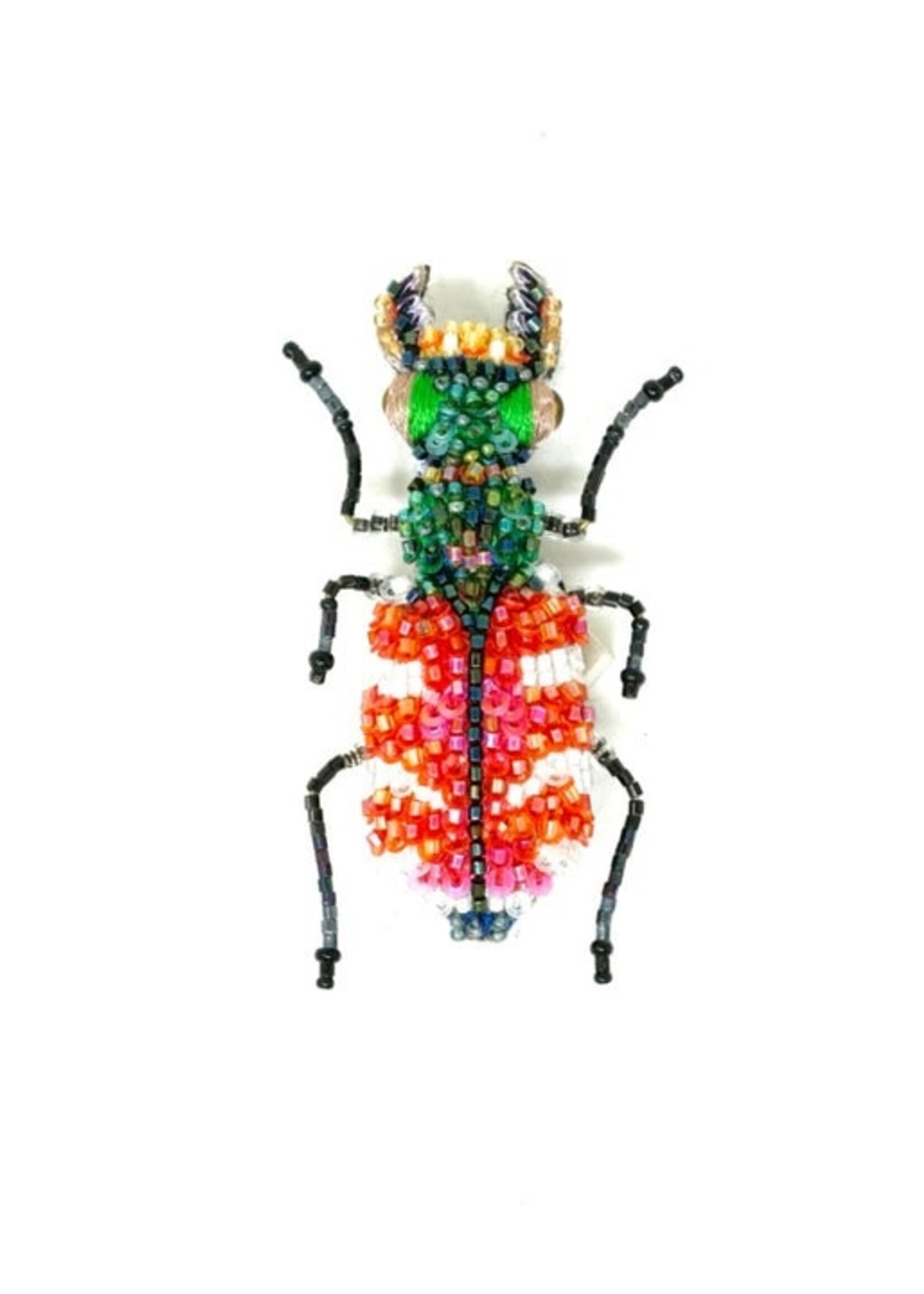 Trovelore Tiger Beetle Brooch Pin Handmade