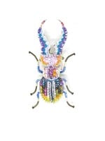 Trovelore Stag Pincer Beetle Brooch Pin Handmade