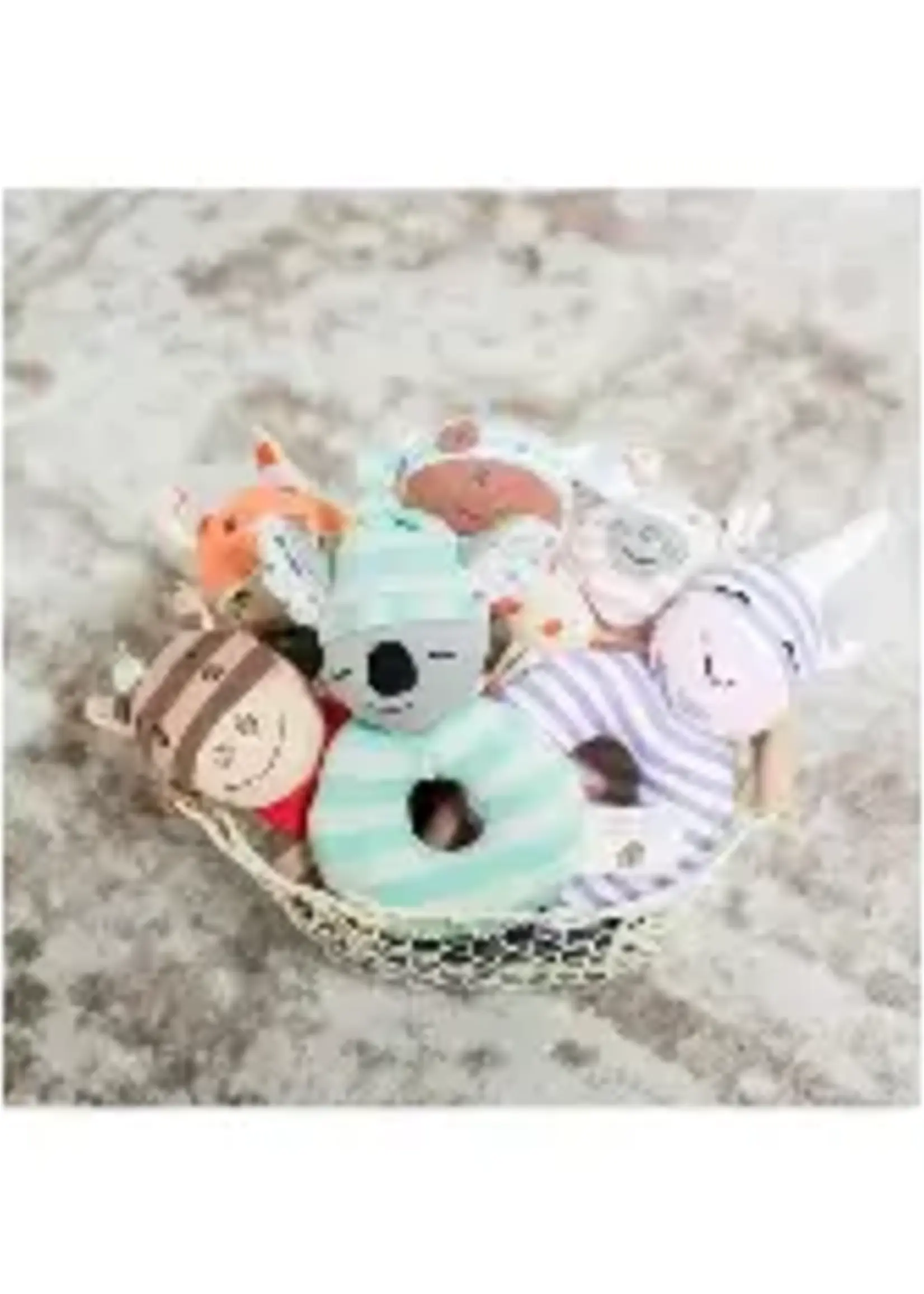 Organic Farm Buddies Rattle Penny Pig