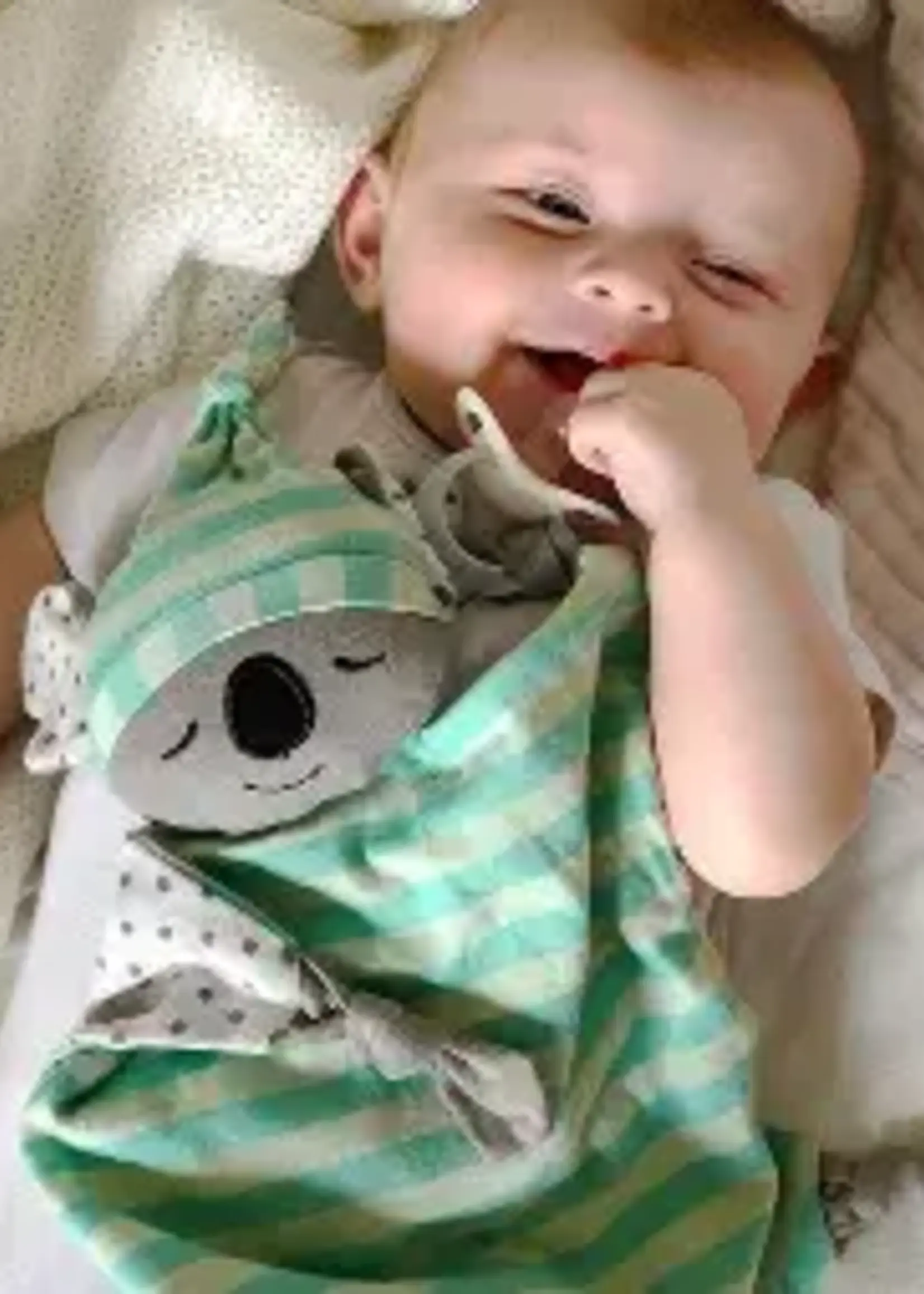 Organic Farm Buddies Blankie Ziggy Zebra