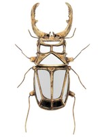 Mirrored Stag Beetle Wall Decor