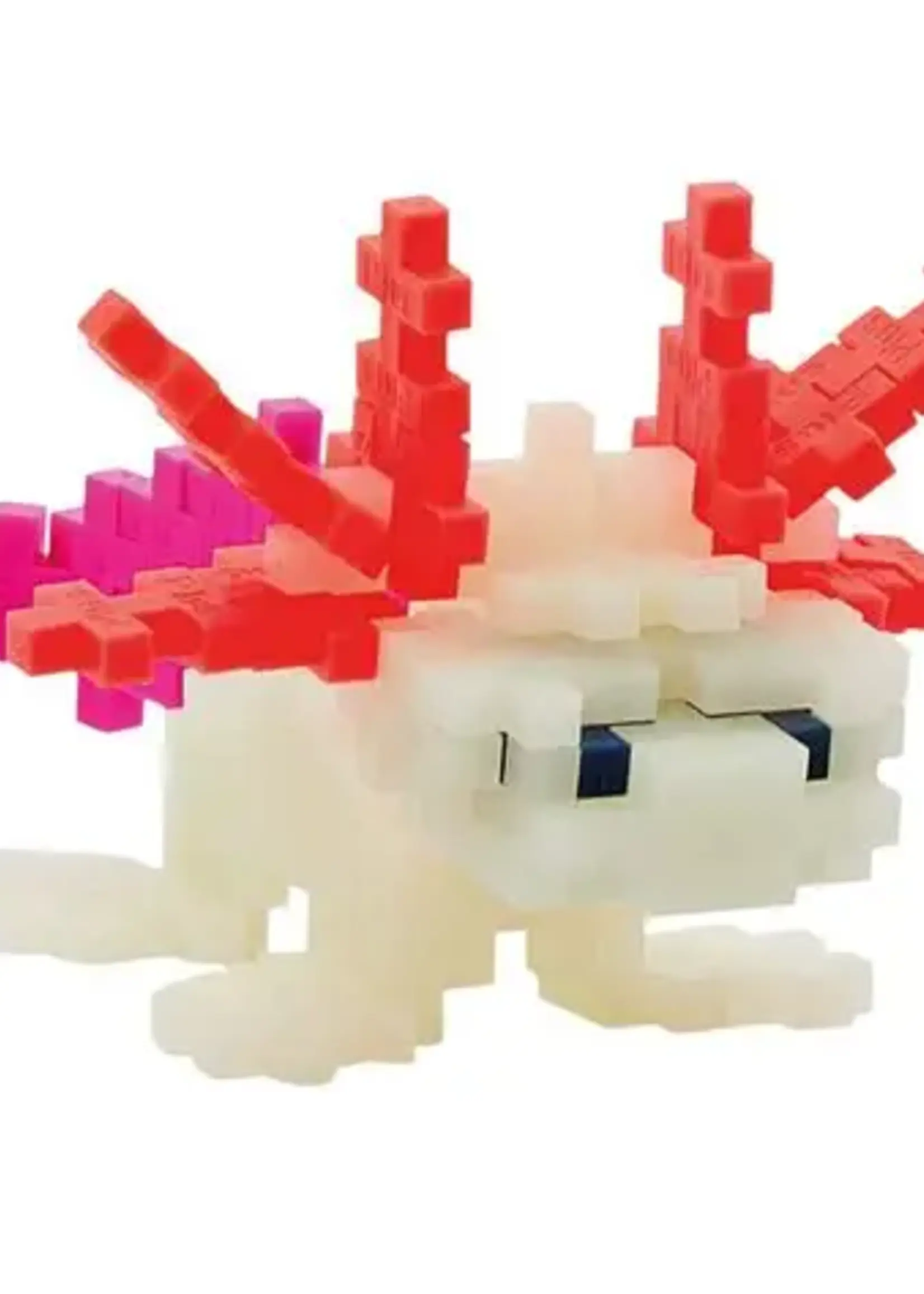Learn to Build Block Set Axolotl