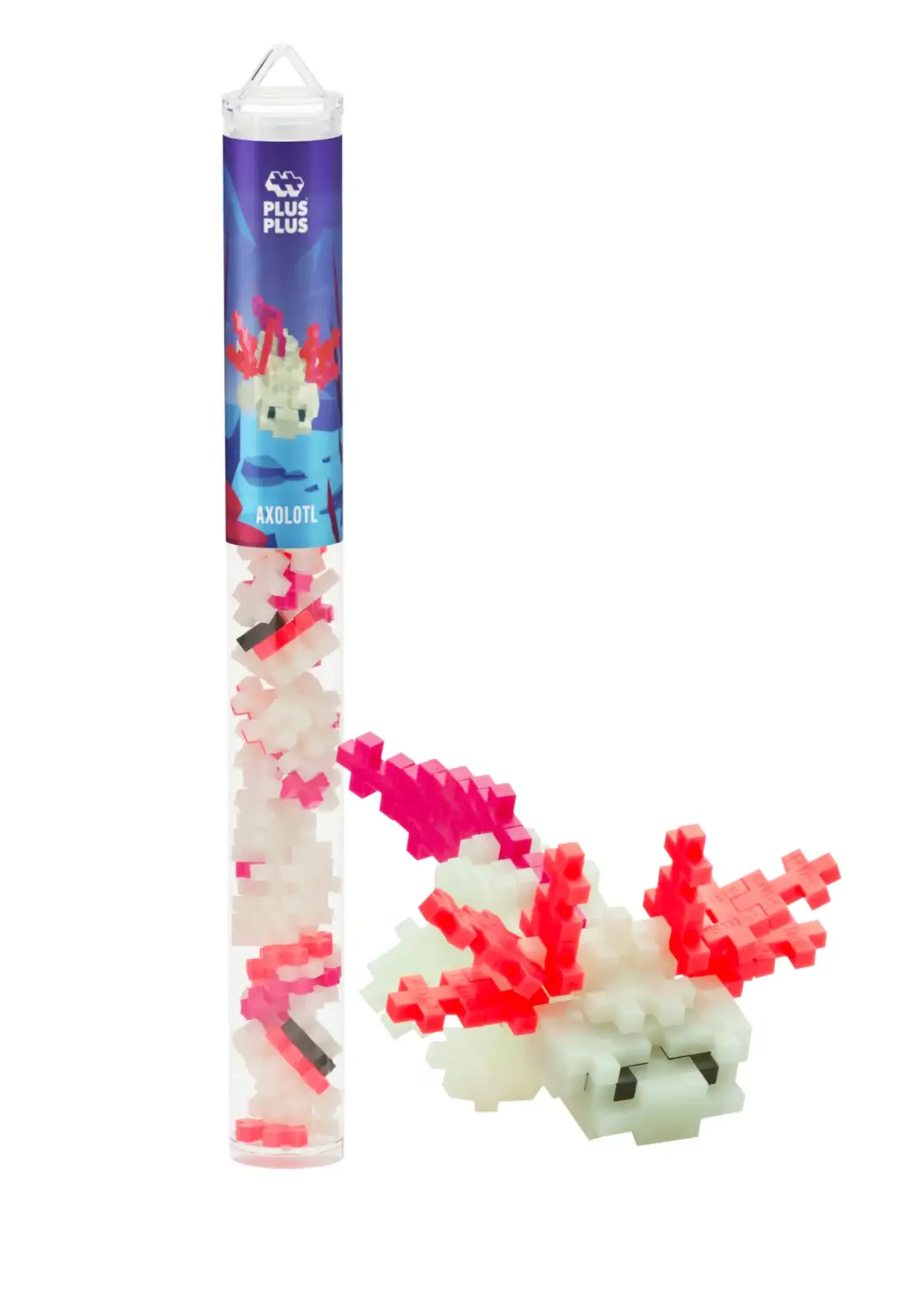 Learn to Build Block Set Axolotl