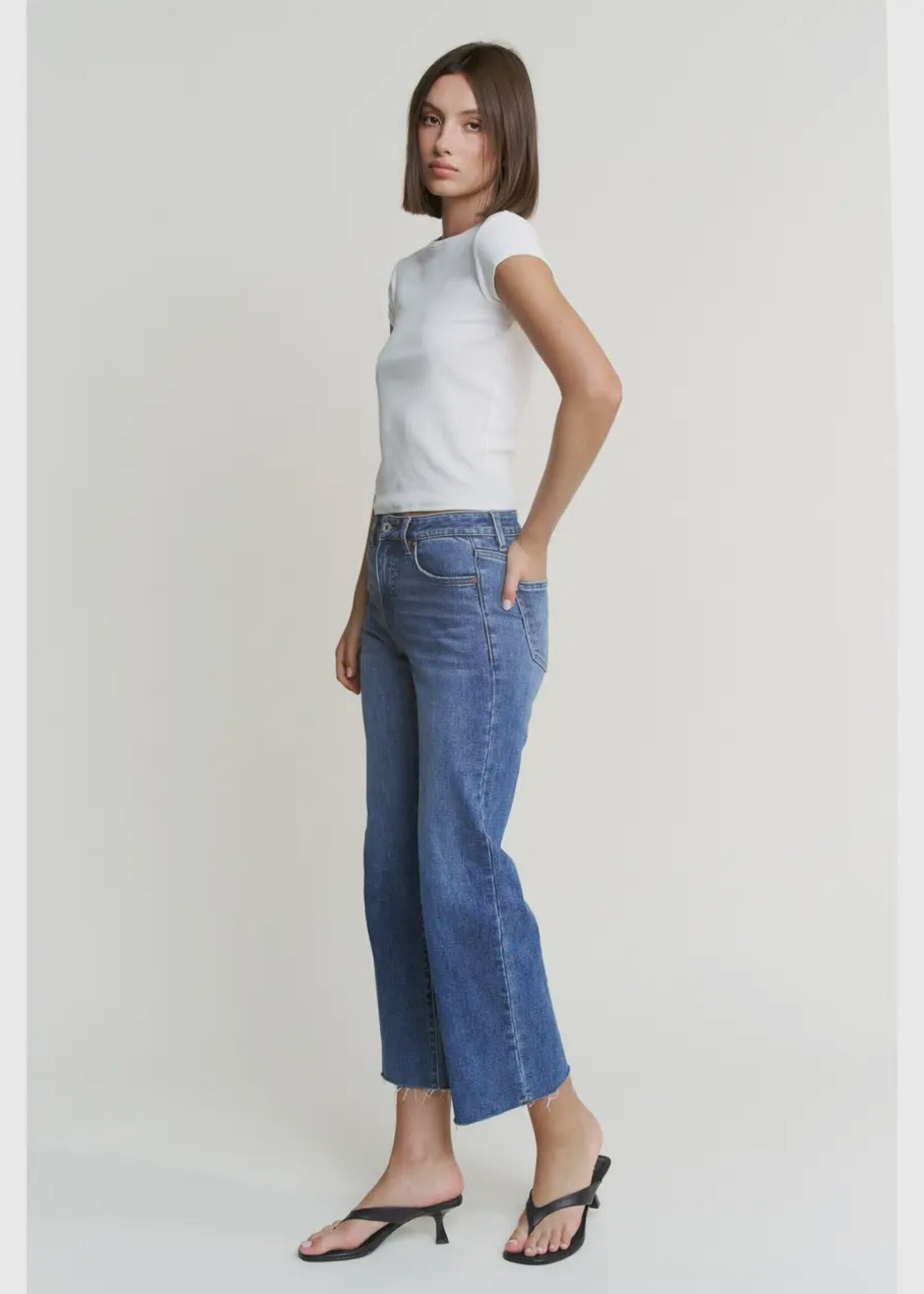 Mica Denim High Rise Wide Leg