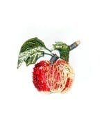 Trovelore Apple Brooch Pin Handmade PREORDER