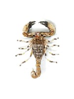 Trovelore Desert Scorpion Brooch Pin Handmade PREORDER