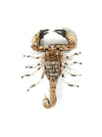 Trovelore Desert Scorpion Brooch Pin Handmade