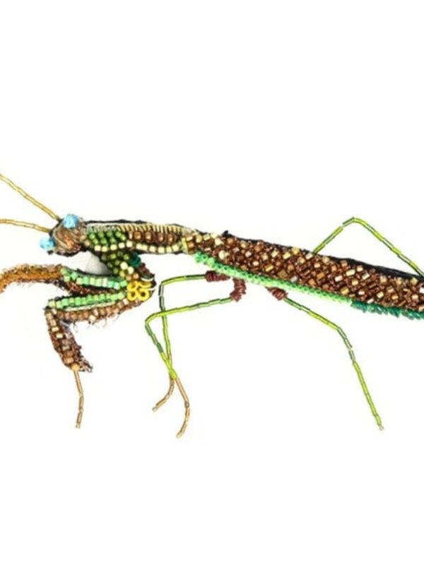 praying mantis brooch trovelore